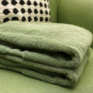 The Company Store Set of 2 Green Hand Towels